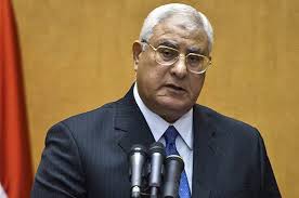 مصر کا نیا صدر مکمل بااختیار ہوگا:عدلی منصور